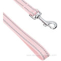 Color Coded Reflective Dog Leash with Spring Hook